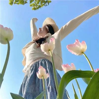 名校风暴第五季